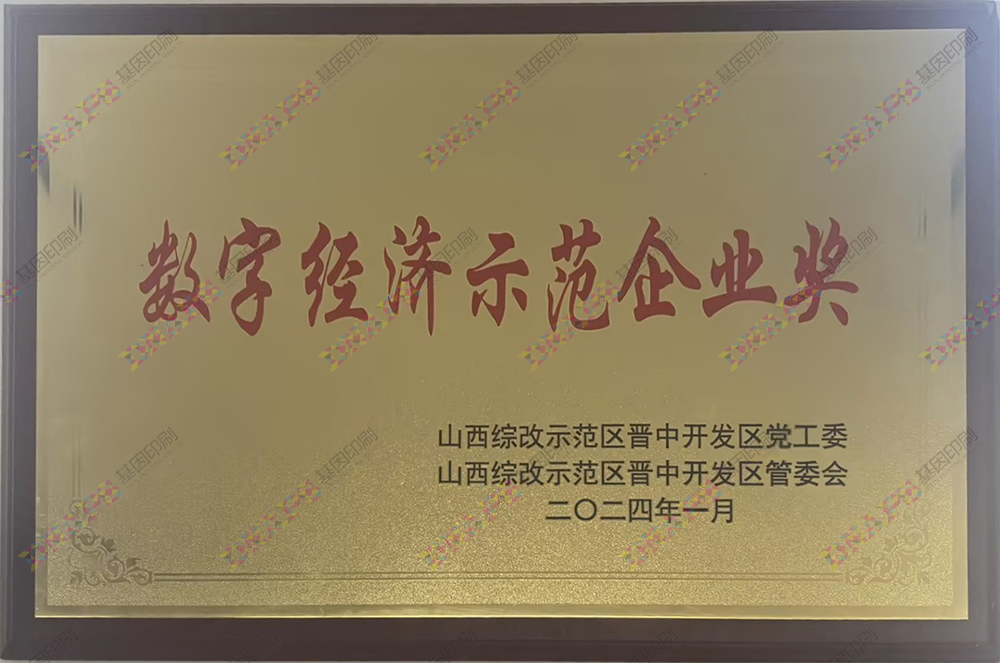 數(shù)字經(jīng)濟(jì)示范企業(yè)獎